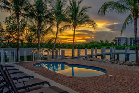 Beautiful sunset through the palm trees