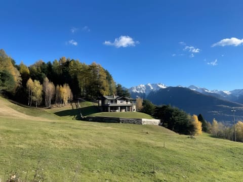 Main view