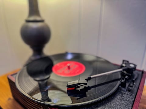 throwback in the Smokies! A functioning record player for nostalgia 