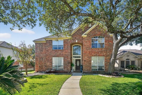 Grass, Neighborhood, Lawn, Tree, Vegetation