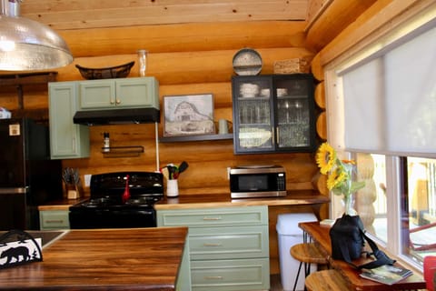 View of Log Cabin Kitchen 