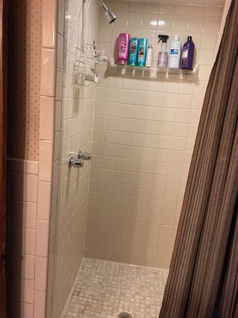 Walk in shower is well stocked with luxury soap, shampoo and conditioner