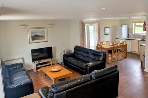 Open plan living room with plenty of light and comfortable sofas