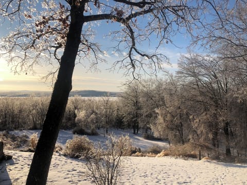 View in wintertime from the dining room and patio