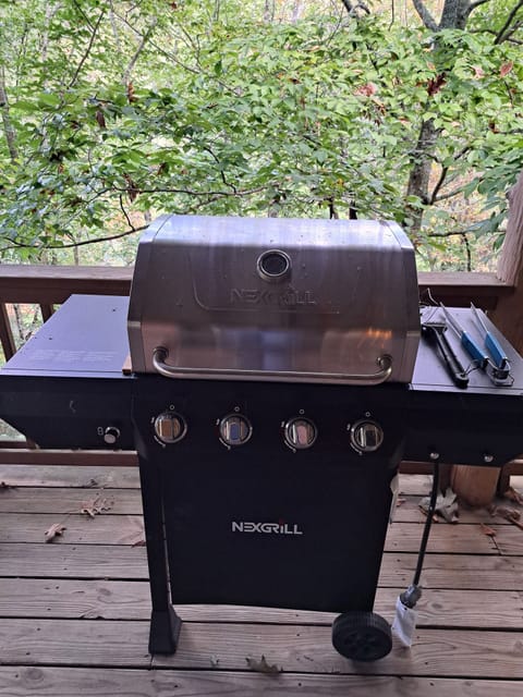 Propane Grill