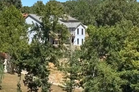 Bluey from the lake.