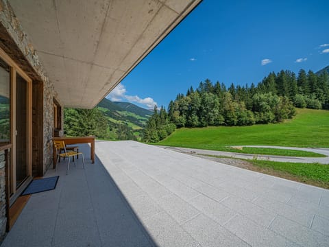 Patio / Balcony