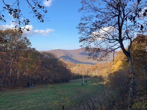 Gorgeous fall views!