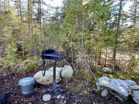 White Birch Cabin - Johnswood Off Grid Cabins on Drummond Island (5123)