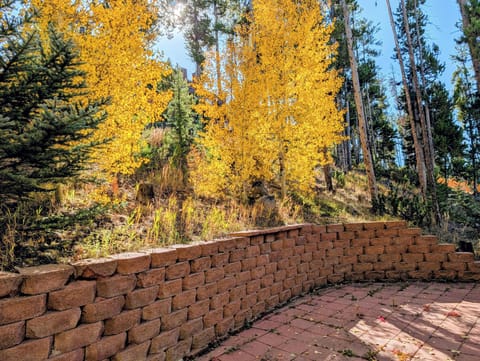 View of the trees from the 8 person hot tub.