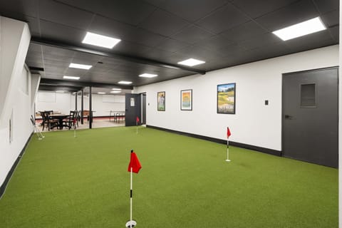 Indoor Putting Green