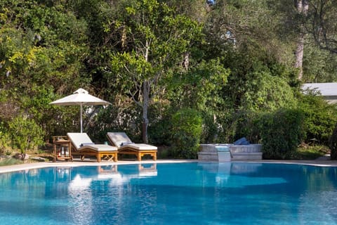 A quiet corner by Ophira's beautiful 16m-long pool.