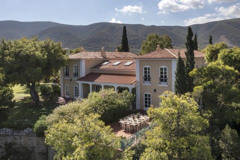 The two wings of Villa Aetos's main house rising amidst a verdant canopy.