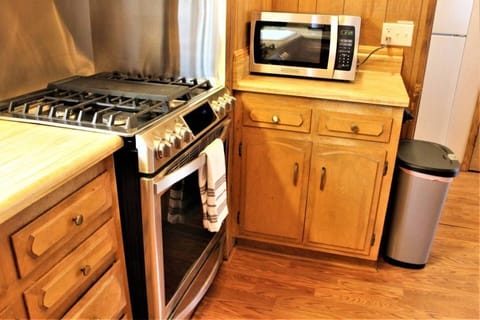 Stainless Range with Convection