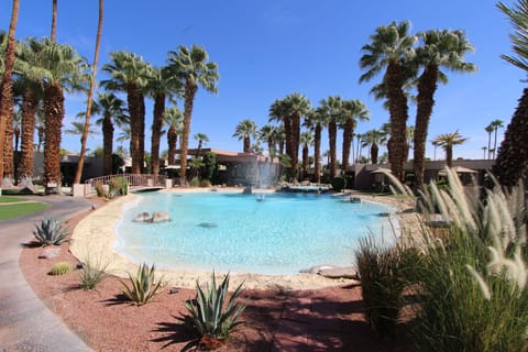 Expansive outdoor pool surrounded by palm trees, perfect for cooling off under the desert sun.