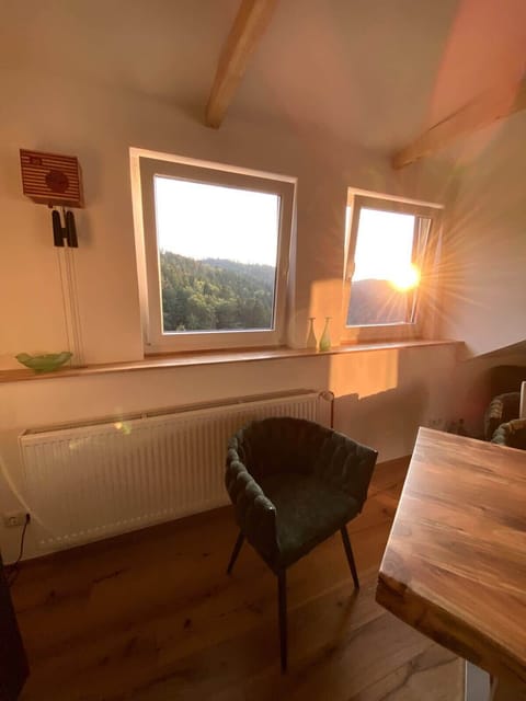 Wunderschöne Sonnenuntergänge im Waldpanorama 