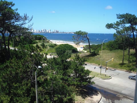 Beach/ocean view