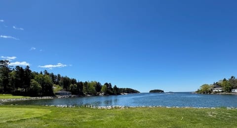 View from the cottage-