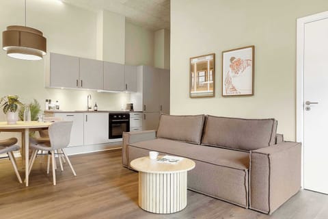 Living area with a very comfortable sleeping sofa, that sleeps 2 people.