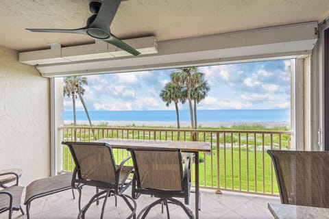 Patio View