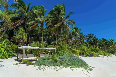 Beach Garden | Shaded daybeds where the jungle meets the sand