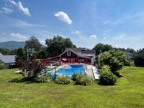 Yard and cabin from the back yard