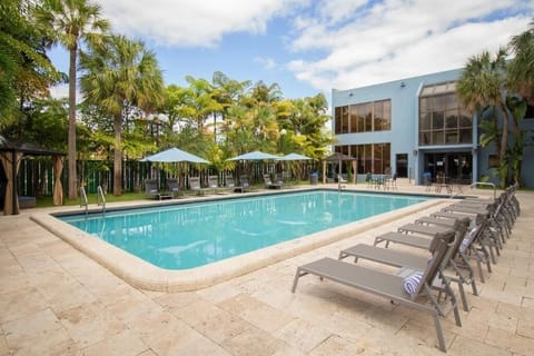 Dive into a sunlit pool day with palm views.