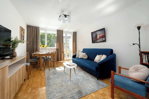 Living room with comfortable sofa, where the guests can relax.