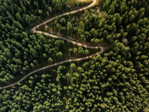 Schoberalm - Holiday cottage Cabin in Carinthia, Austria