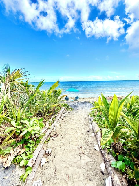 Beachfront