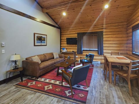 Living room with pull out couch.