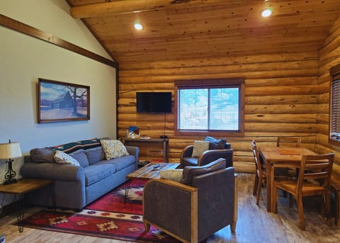 Living room with pull out couch