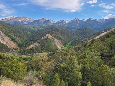 View from the private trail on the property