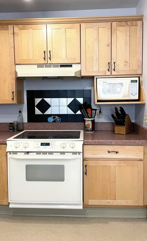 Electric oven and stovetop.