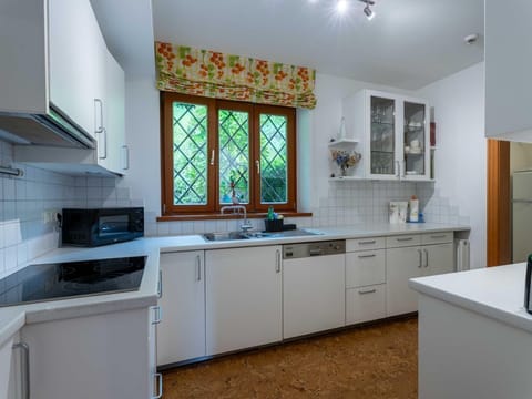 Chalet Birkmayer by we rent - Chalet Birkmayer, Ski-In/Ski-Out & Lake view Apartment in Zell am See