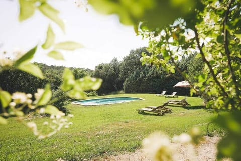 swimming pool, garden, sun loungers, exterior