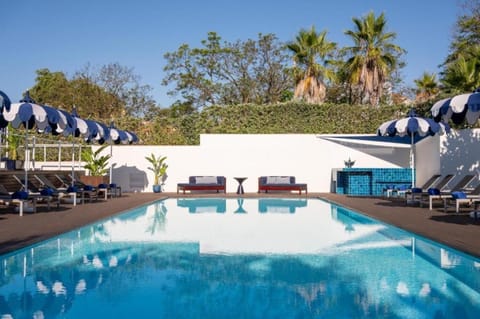 Dive into serene blue water framed by palm-lined calm.
