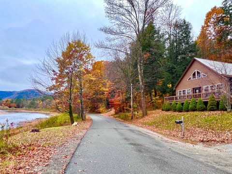 Beautiful fall foliage