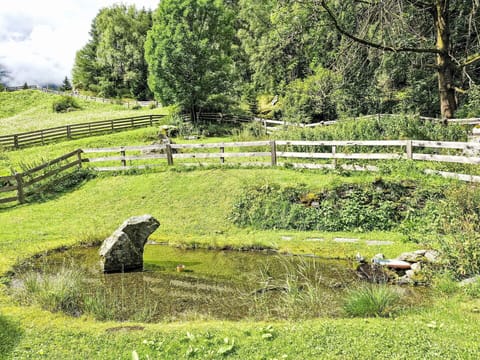 Grass, Grassland, Plant Community, Groundcover, Meadow, Spring, Pasture, Garden