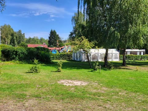 Tree, Lawn, Shade, Garden, Yard, Park, Evergreen, Backyard, Tent