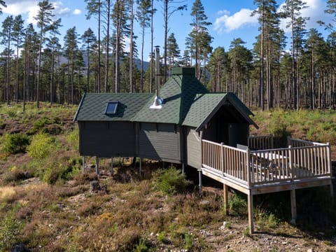 Cottage, Roof, Hut, Shed, Forest, Shack, Log Cabin, Garden Buildings, Siding, Woodland