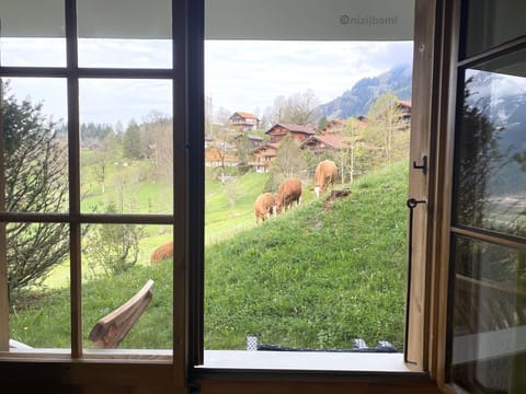 Glass, Valley, Daylighting, Shade, Eco Hotel, Livestock, Grazing, Plantation, Farm, Mountain Village