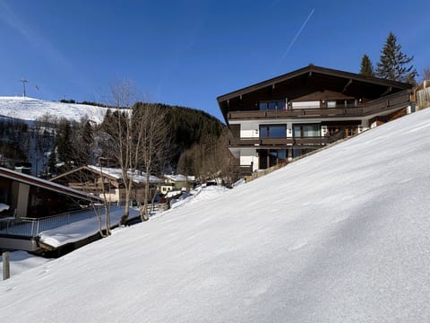 Snow, Winter, Home, Freezing, Cottage, Slope, Larch, Ski Resort, Balcony