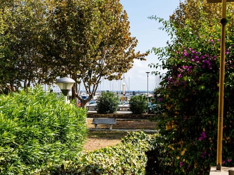 Blue, Green, Leaf, Shrub, Spring, Shade, Garden, Botanical Garden