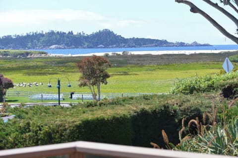 View of Point Lobos, ocean and sheep from front deck.
