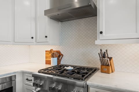 Gourmet Open Concept Kitchen