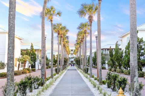 Follow the palm tree lined walkway to the community pool and private beach access.