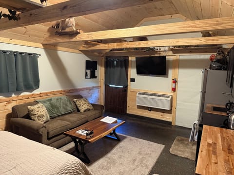 Living room (pull out sofa)