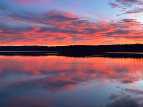 Can you spell SPECTACULAR!?! This photo has NOT been  enhanced in anyway.