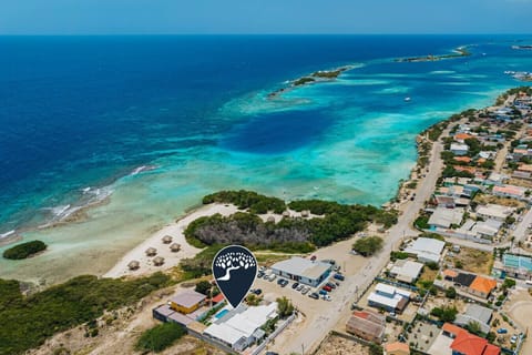 Welcome to the vacation Villa of your dreams! In the heart of Aruba, this place is the best way to explore the island or to just relax. Unwind on the beach, relax in your private pool and savor a unique and memorable luxury Caribbean experience.